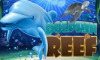 Dolphin Reef